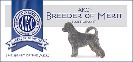 ALC Breeder of Merit