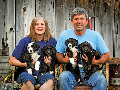 Portuguese Water Dog Breeders with Puppies