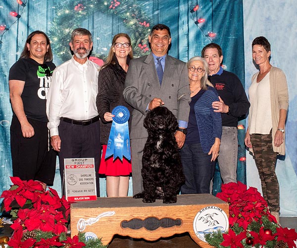 Angus wins a Group 1 and becomes a new AKC Champion